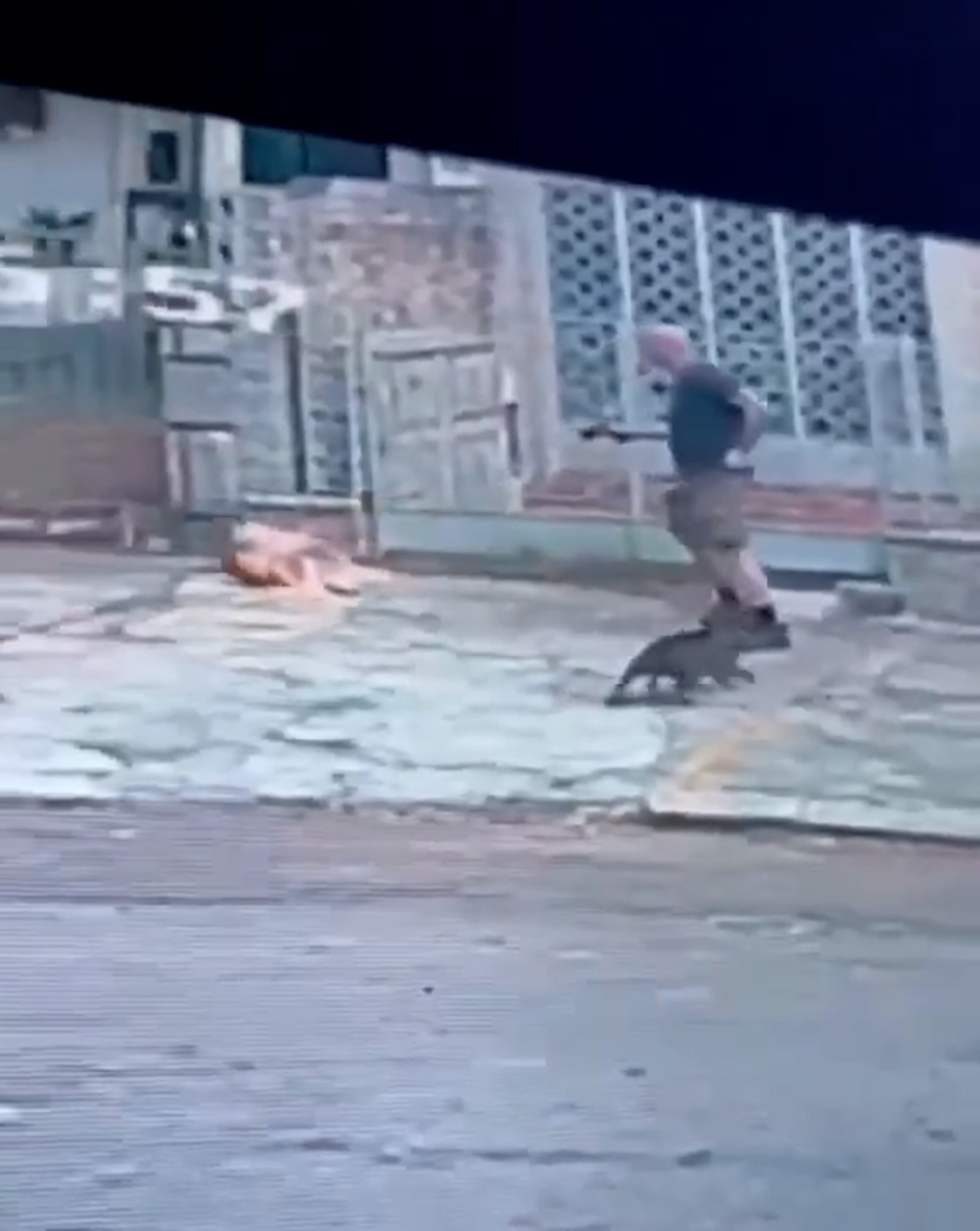Man shoots dog dead in Tijuca, North Zone of Rio, Brazil, Aug. 22, 2026. Note: Photo is a screenshot from a video. (Newsflash/NX)