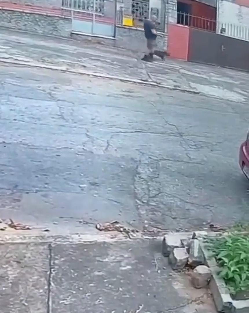 Man shoots dog dead in Tijuca, North Zone of Rio, Brazil, Aug. 22, 2026. Note: Photo is a screenshot from a video. (Newsflash/NX)